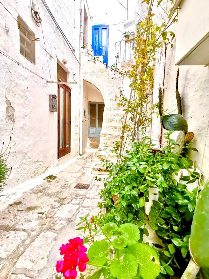 オストゥーニ White Stone- La Terrazzaヴィラ エクステリア 写真
